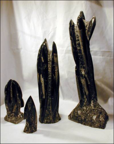 Fossil Orthoceras Sculptures