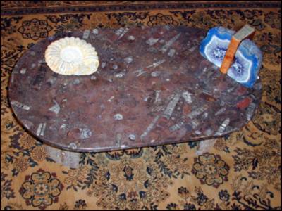 Polished Fossil Orthoceras Table