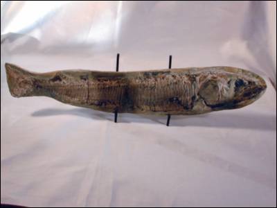 Fossil Fish, Aspidorhynchus