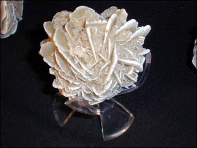 Desert Rose - Selenite